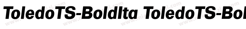 ToledoTS-BoldIta ToledoTS-BoldIta字体转换